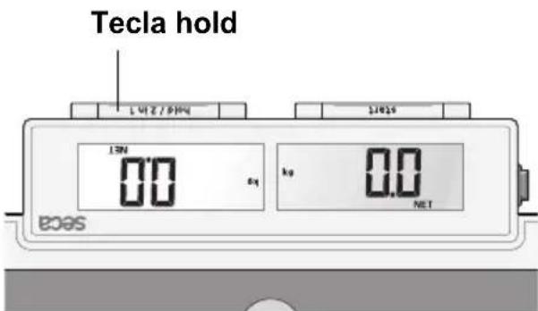 SECA 878 - Memorizar o peso (HOLD) - 2