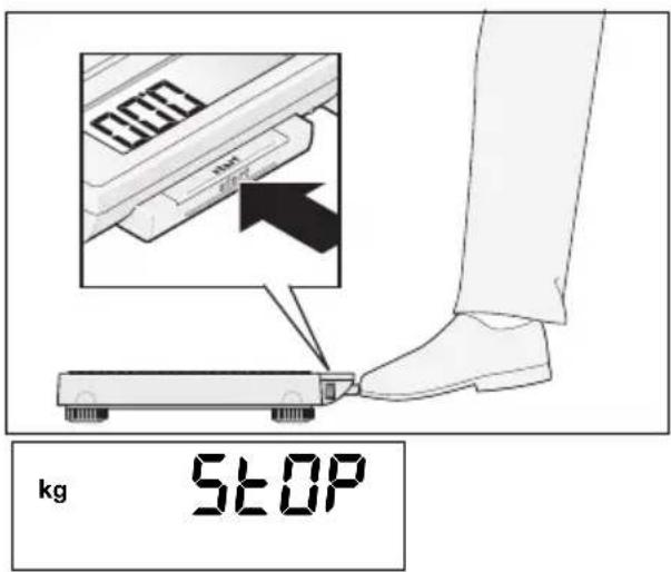 SECA 878 - Rigtig vejning - 1