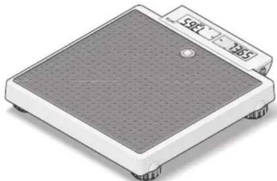 SECA 878 - Ustawianie wagi - 1