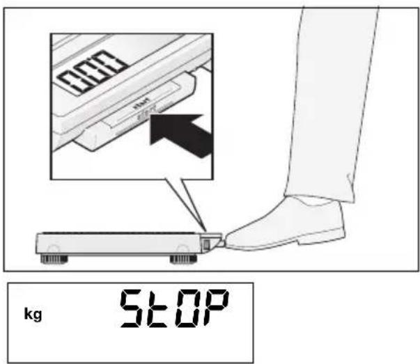 SECA 878 - Riktig vägning - 1