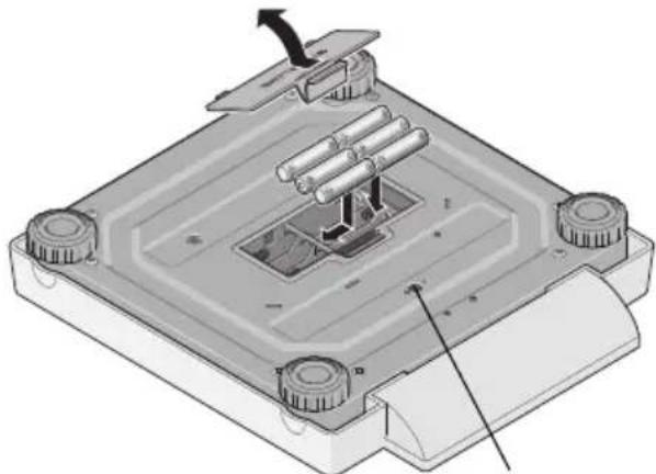 SECA 878 - Check that the polarity is correct. - 1