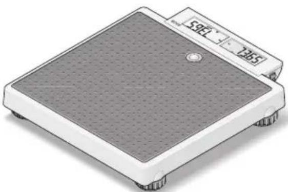 SECA 878 - Setting up the scale - 1