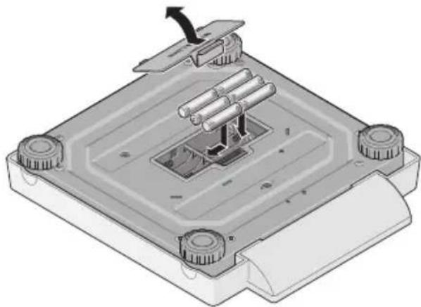 SECA 878 - Check that the polarity is correct. - 1