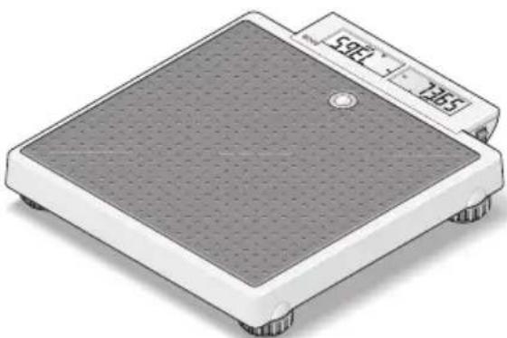 SECA 878 - Installation du pèse-personne - 1