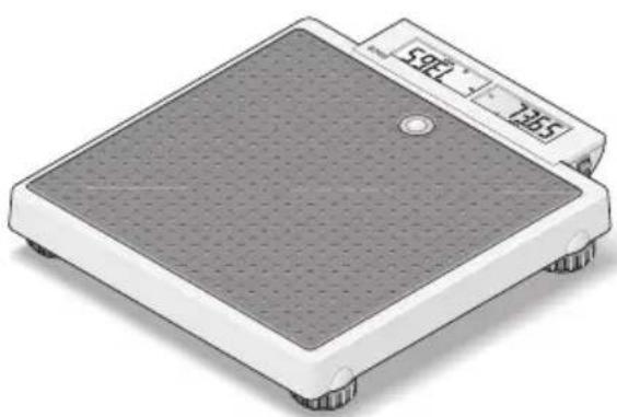 SECA 878 - Oppstilling av vekten - 1