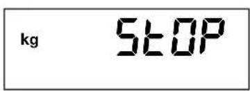 SECA 878 - Pesar correctamente - 1