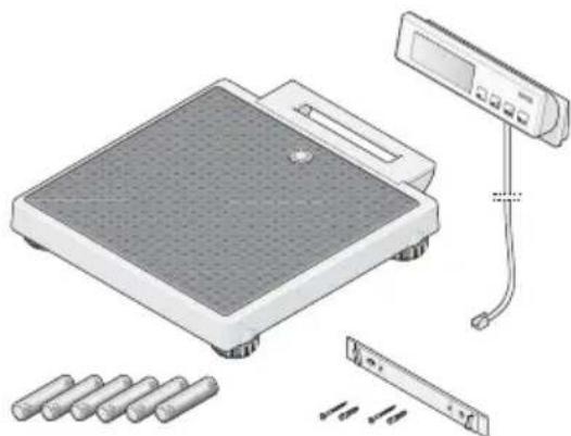 SECA 899 - Przed Rozpoczeciem… - 1