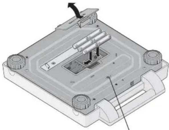 SECA 899 - Check that the polarity is correct! - 1