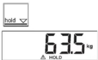 SECA 899 - Memorizar o peso (HOLD) - 1