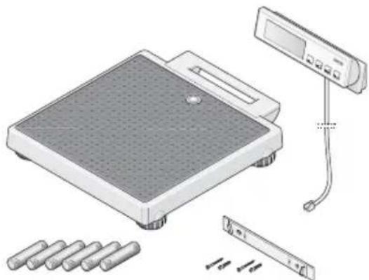SECA 899 - Ennen kuin käytät vaakaa… - 1