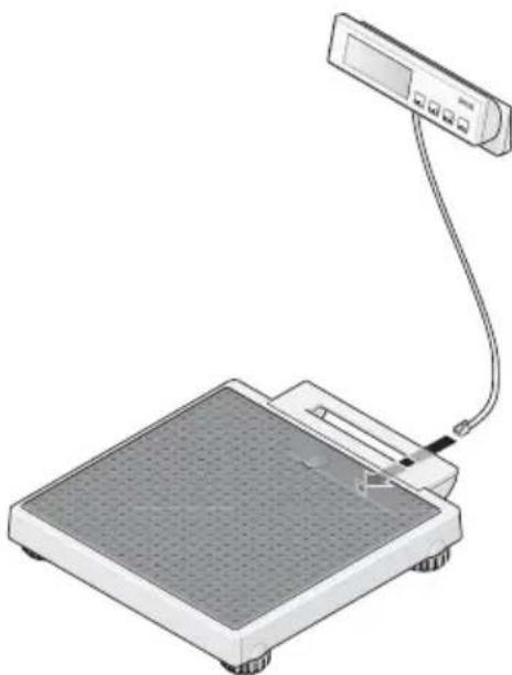 SECA 899 - Ligar o cabo de ligação à plataforma de pesagem - 1