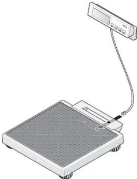 SECA 899 - Raccorder le cable à la plate-forme de pesage - 1