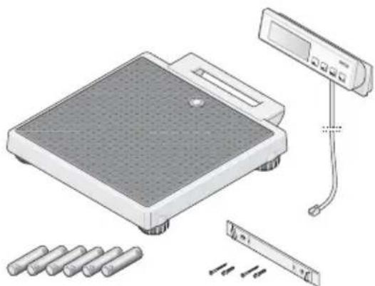 SECA 899 - Bevor es richtig losgeht… - 1