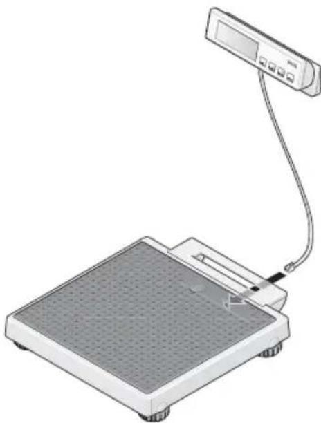 SECA 899 - Liitäntäkaapelin yhdistäminen punnitustasoon - 1