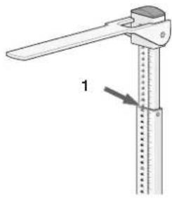 SECA 220 - How to measure properly... - 1
