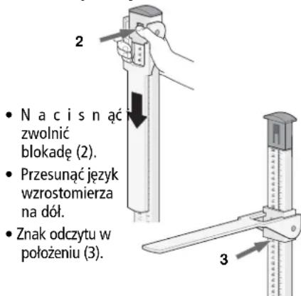 SECA 220 - Pomiar ponijej 130,5 cm (51,3 ins): - 1
