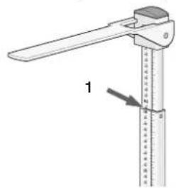 SECA 220 - Para pesar correctamente... - 1