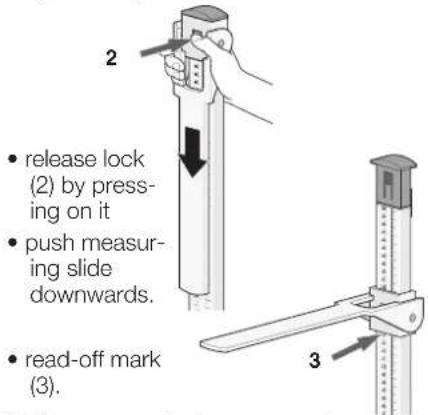 SECA 220 - How to measure properly... - 2
