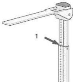 SECA 220 - So messe ich richtig... - 1