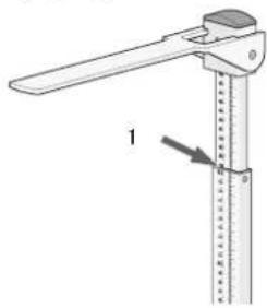 SECA 220 - 身長の正い測り方 - 1