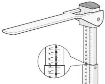 SECA 220 - Montageanweisung - 6