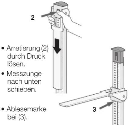 SECA 220 - So messe ich richtig... - 2