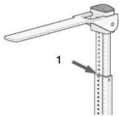 SECA 220 - Cosi misuro correttamente... - 1