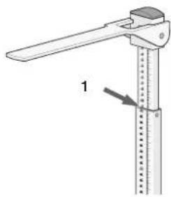 SECA 220 - Congratulations vivissime - 1