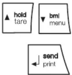 SECA 653 - Calcular y valorar el indice de masa corporal (BMI) - 6