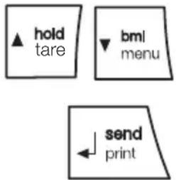 SECA 653 - Determinar e avaliar o Ínicio de Massa Corporal (IMC) - 6