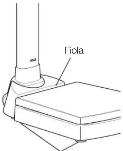 SECA 704 - Colocar la báscula - 1