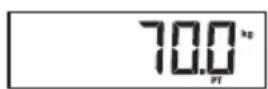SECA 704 - Almacenar de forma continua el peso adicional (Pt) - 3