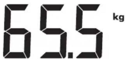 SECA 704 - Simboli sul display - 2