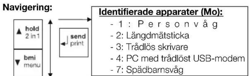 SECA 704 - Menystruktur - 3