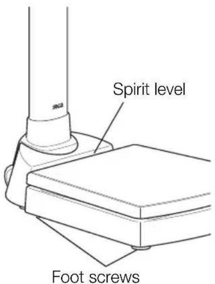 SECA 704 - Set up scales - 1