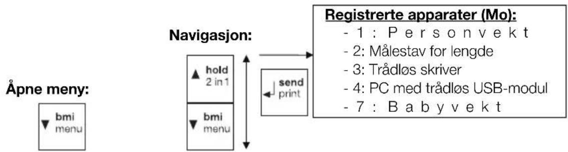 SECA 704 - Menystruktur - 2