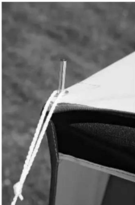 dwt-Zelte Paradies II 300 - Auvents - 6