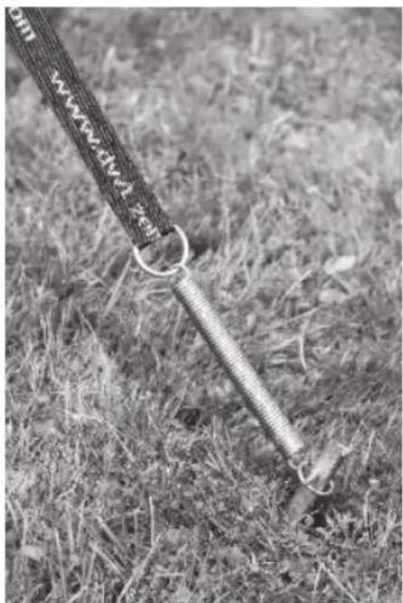 dwt-Zelte Focus - Voortent - 2