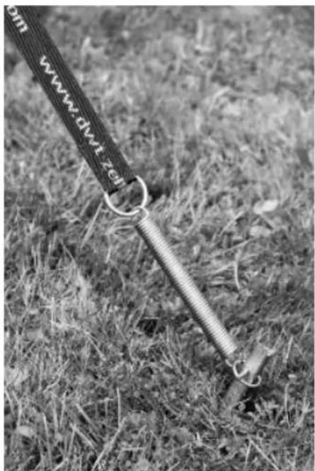 dwt-Zelte Carat 240 - Vorzelte - 2