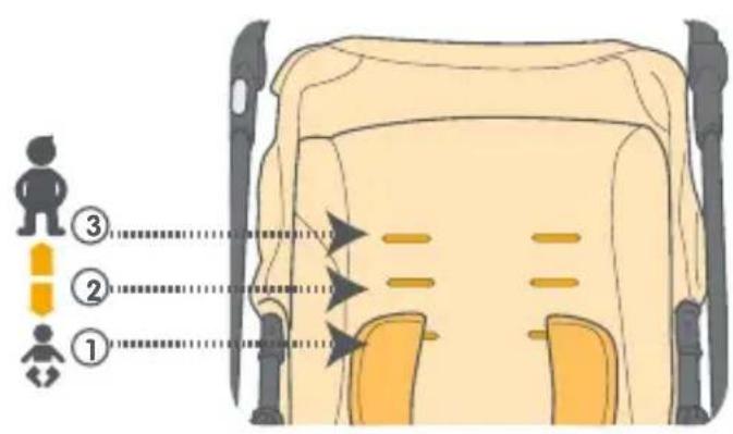 SAFETY 1ST Kokoon Comfort - NL · Gefeliciteerd met de aankoop. - 79