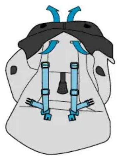 MAXI-COSI Streety Plus 2 in 1 - HR - 19