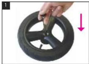 iCandy Peach Jogger - iCandy PEACH JOGGER - 2