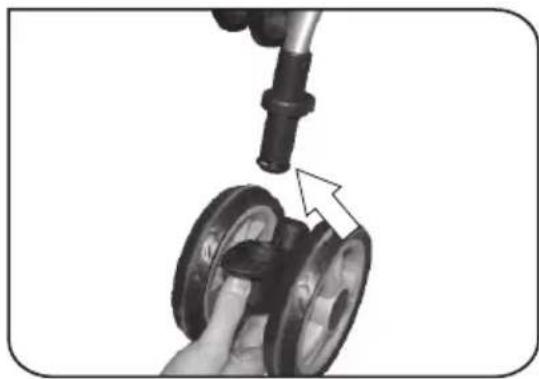 Foppapedretti Passenger - 5