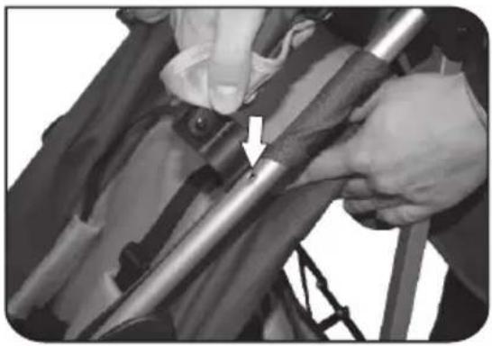 Foppapedretti Passenger - 7