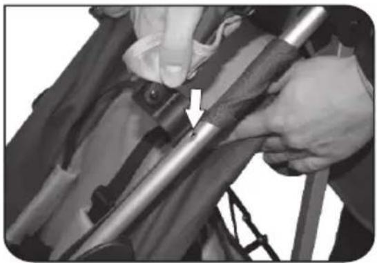 Foppapedretti Passenger - 7