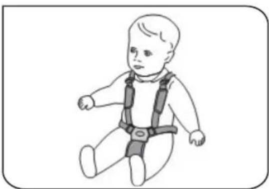 Foppapedretti Passenger - TO USE - 2