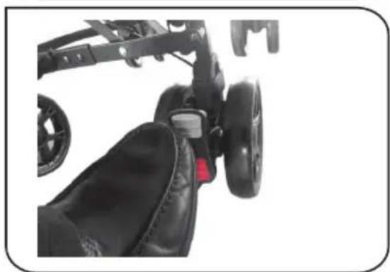 Foppapedretti Passenger - Important: - 4