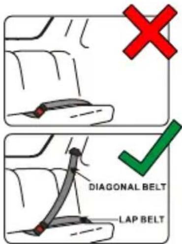 Foppapedretti Chic - MONTAGE - 1