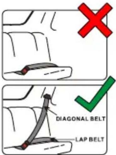 Foppapedretti Chic - MONTAGEM - 1