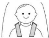 Topmark Lucca T8003 - WARNING: ALWAYS USE THE CROTCH STRAP WITH WAIST BELT. - 6